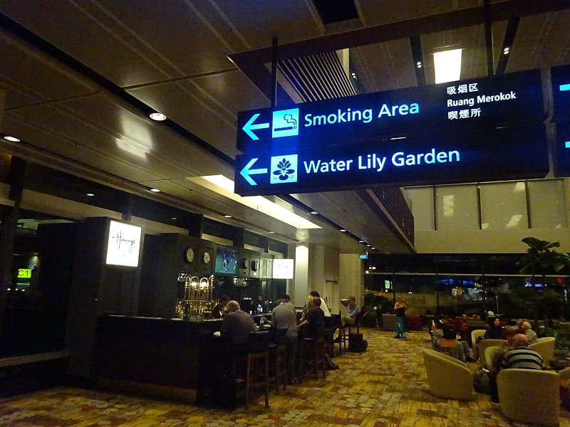 singapore airport bars drinking Singapore Airport Cactus