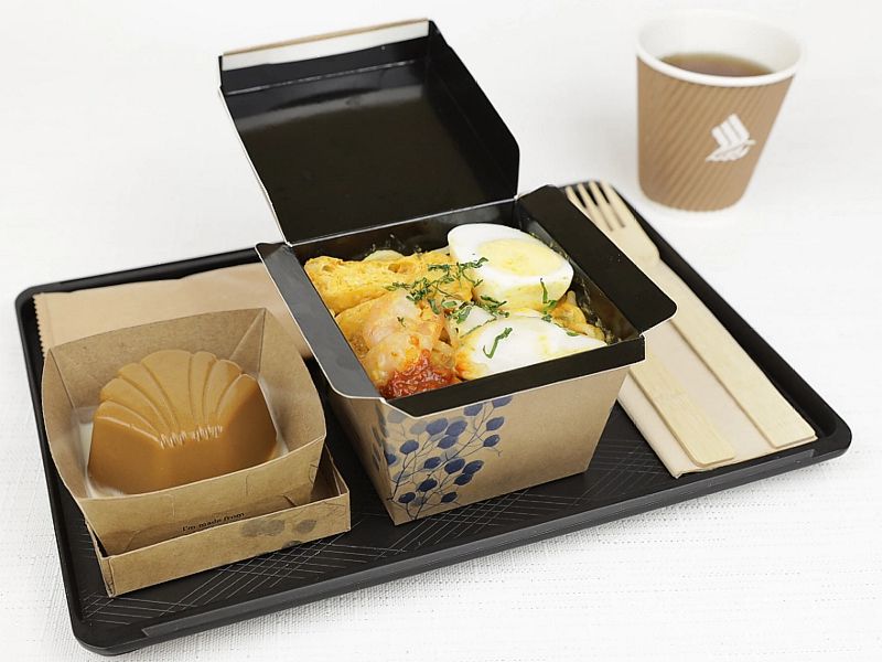 singapore airlines economy meals